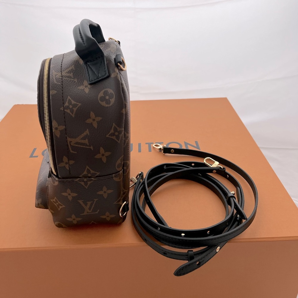 Louis Vuitton Palm Springs Backpack Mini Brown Leather